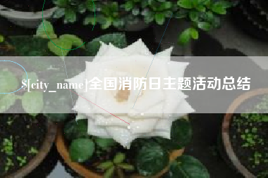 句容全国消防日主题活动总结