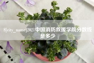 句容2021中国消防救援学院分数线是多少