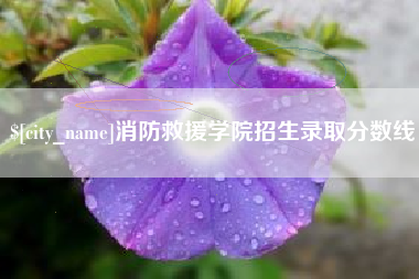 句容消防救援学院招生录取分数线
