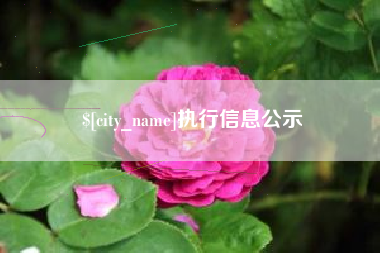 句容执行信息公示