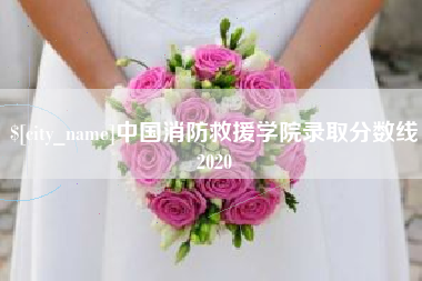 句容中国消防救援学院录取分数线2020