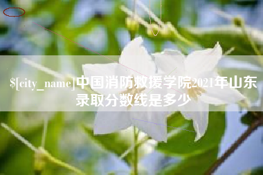 句容中国消防救援学院2021年山东录取分数线是多少