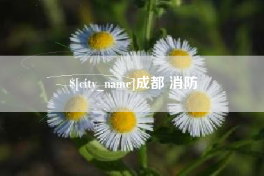 句容成都 消防