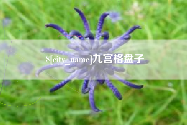 句容九宫格盘子