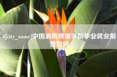 句容中国消防救援学院毕业就业前景如何
