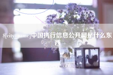 句容中国执行信息公开网是什么东西