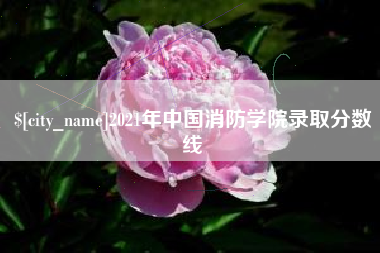 句容2021年中国消防学院录取分数线