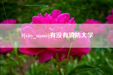 句容有没有消防大学
