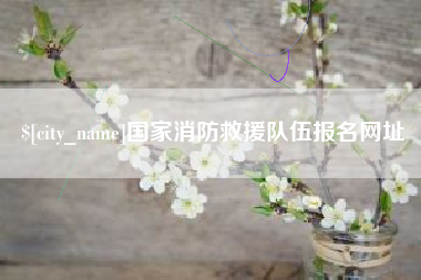 句容国家消防救援队伍报名网址