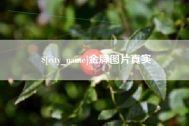 句容金牌图片真实