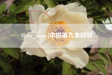 句容中国第九金回放