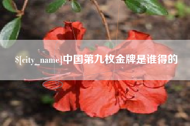 句容中国第九枚金牌是谁得的