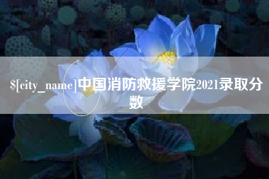 句容中国消防救援学院2021录取分数