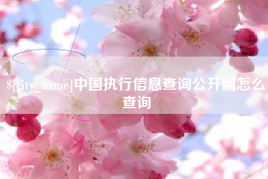句容中国执行信息查询公开网怎么查询