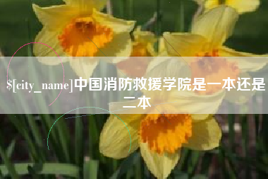 句容中国消防救援学院是一本还是二本
