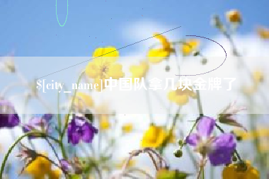 句容中国队拿几块金牌了