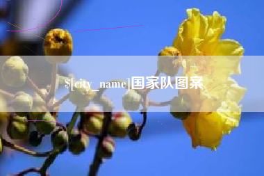 句容国家队图案