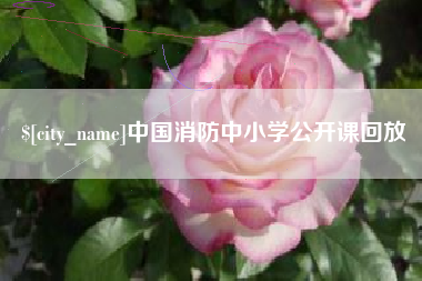 句容中国消防中小学公开课回放