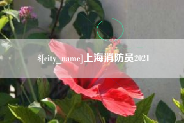 句容上海消防员2021