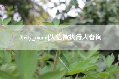 句容失信被执行人杳询