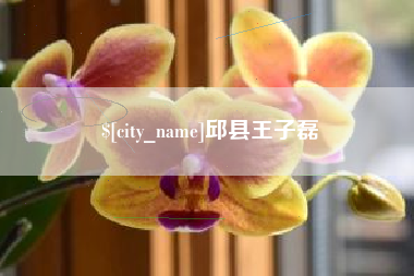 句容邱县王子磊