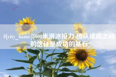 句容5000米滑冰接力-团队成员之间的信任是成功的基石
