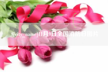 句容11月9日全国消防日图片