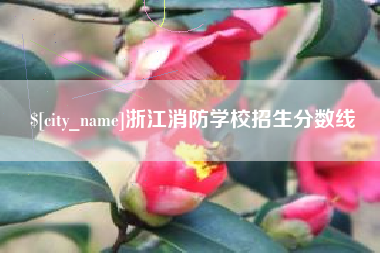 句容浙江消防学校招生分数线