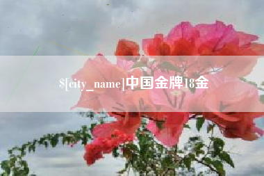 句容中国金牌18金