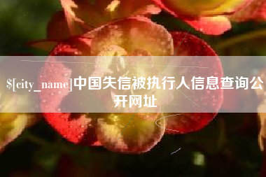 句容中国失信被执行人信息查询公开网址