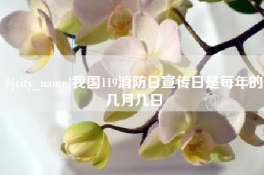 句容我国119消防日宣传日是每年的几月几日