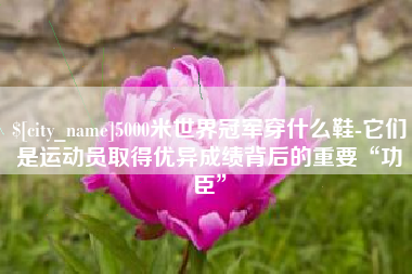 句容5000米世界冠军穿什么鞋-它们是运动员取得优异成绩背后的重要“功臣”