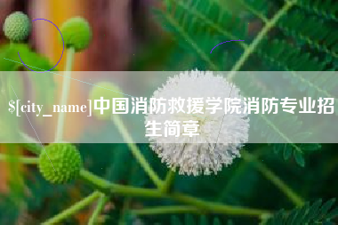 句容中国消防救援学院消防专业招生简章