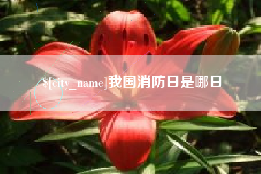 句容我国消防日是哪日