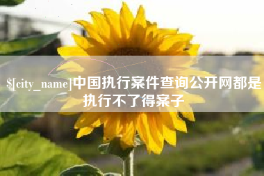 句容中国执行案件查询公开网都是执行不了得案子