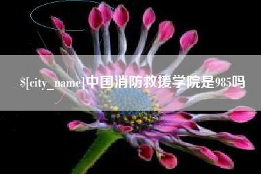 句容中国消防救援学院是985吗