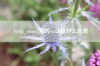 句容消防ccc认证什么意思
