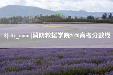 句容消防救援学院2020高考分数线