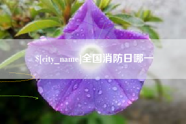 句容全国消防日哪一