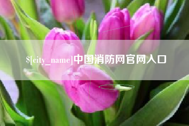 句容中国消防网官网入口