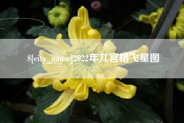 句容2022年九宫格飞星图