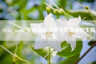 句容中国消防救援学院湖南招生情况公布