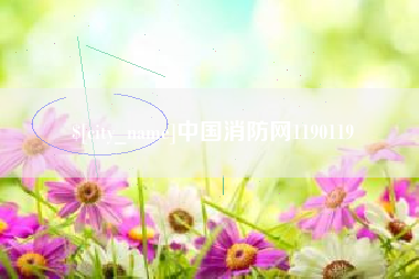 句容中国消防网1190119