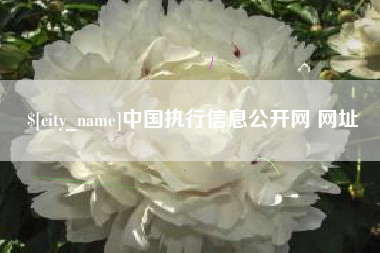 句容中国执行信息公开网 网址