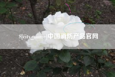 句容中国消防产品官网