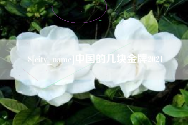 句容中国的几块金牌2021