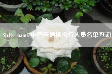 句容中国失信被执行人员名单查询