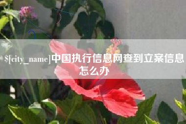 句容中国执行信息网查到立案信息怎么办