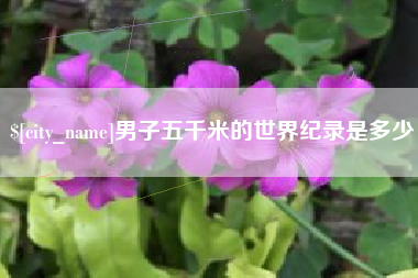 句容男子五千米的世界纪录是多少