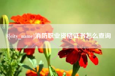 句容消防职业资格证书怎么查询